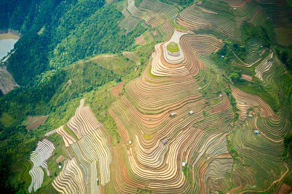 Foto Aerea Terrazze Riso Cang Chai Vietnam Nella Stagione Delle — Foto Stock