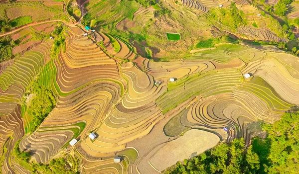 Cang Chai Pirinç Terasları Havadan Görüntü Sulama Sezonunda Vietnam — Stok fotoğraf