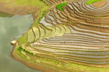 Y Ty, Lao Cai, Vietnam 'da su mevsiminde (Mayıs' tan Haziran 'a kadar) büyük pirinç teraslarının hava görüntüsü)