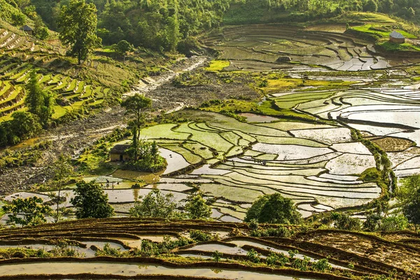 Beauty Rice Terraces Mountainous Region Northern Vietnam Watering Season — ストック写真
