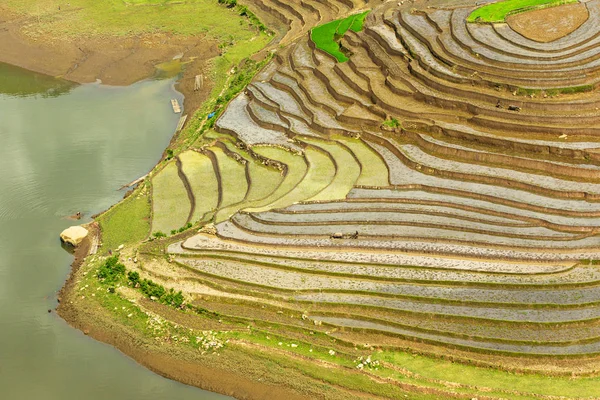 Luchtfoto Van Grote Rijst Terrassen Lao Cai Vietnam Het Drenken — Stockfoto
