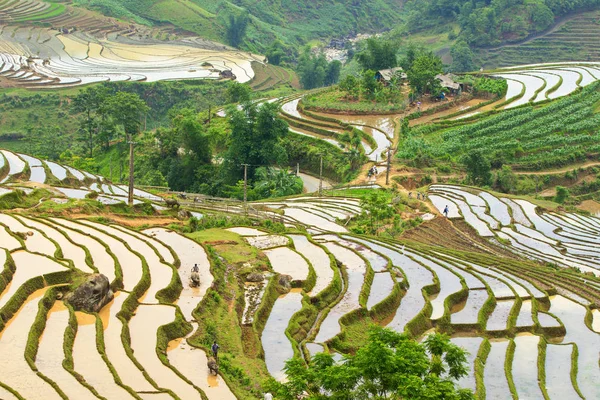 Krása Rýžových Teras Hornaté Oblasti Severní Vietnam Období Zalévání — Stock fotografie