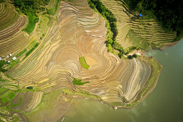 Aerial image of great rice terraces in Y Ty, Lao Cai, Vietnam in watering season (from May to June every year)