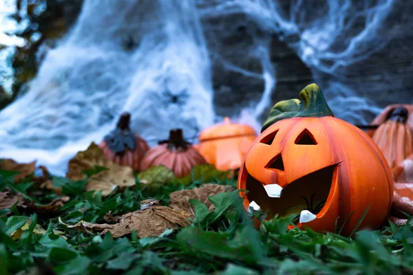 Halloween Concepto Una Celebración Otoño Vacaciones Otoño Halloween Cabeza Calabaza —  Fotos de Stock