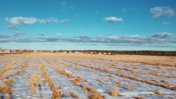 Vuelo sobre campos de invierno y bosques en los suburbios de San Petersburgo 34 — Vídeo de stock