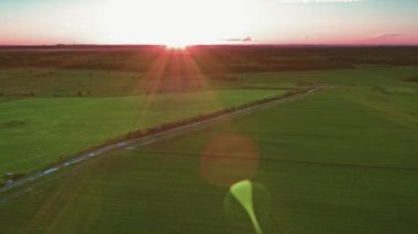 St. Petersburg 59 'un banliyölerindeki tarlaların üzerinden uçuyor.