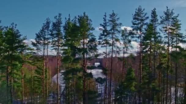 Flyg över vinterfält och skogar i S:t Petersburgs förorter 18 — Stockvideo