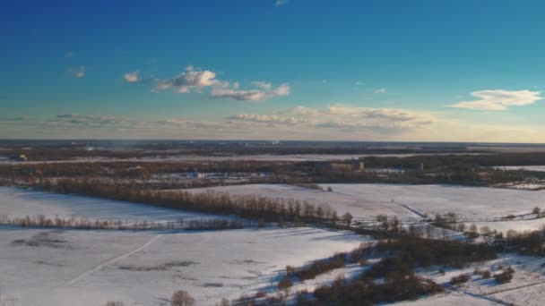 Flyg över vinterfält och skogar i S:t Petersburgs förorter 44 — Stockvideo