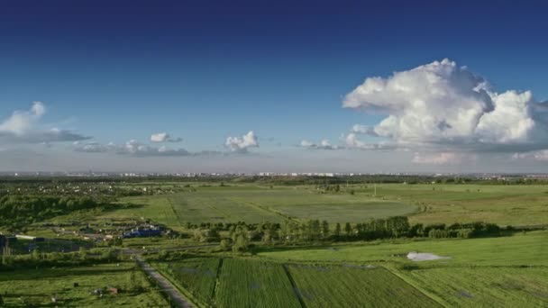 Flight over the fields in the suburbs of St. Petersburg 42 — Stock Video