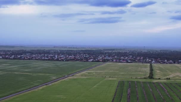 Flight over the fields in the suburbs of St. Petersburg 20 — Stock Video