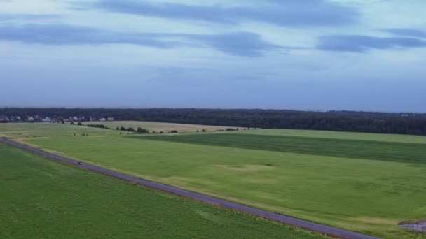 Flight over the fields in the suburbs of St. Petersburg 17 — Stock Video