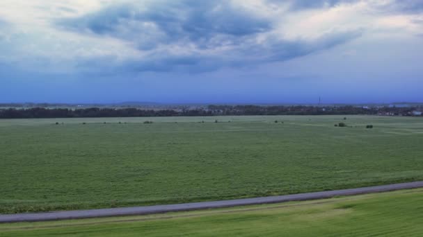 Flight over the fields in the suburbs of St. Petersburg 25 — Stock Video