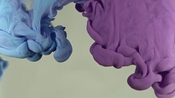 Fluides de peinture tournent sous l'eau en studio 6 — Video