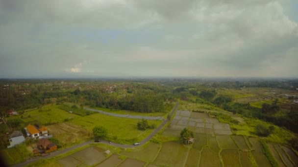 Reisfelder auf der Insel Bali im Indischen Ozean 7 — Stockvideo