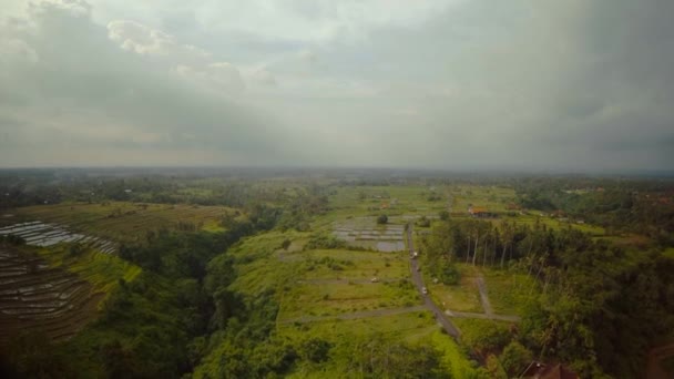 Reisfelder auf der Insel Bali im Indischen Ozean 5 — Stockvideo