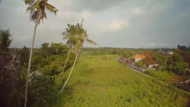 Traditionelle Siedlung auf der Insel Bali im Indischen Ozean 2 — Stockvideo