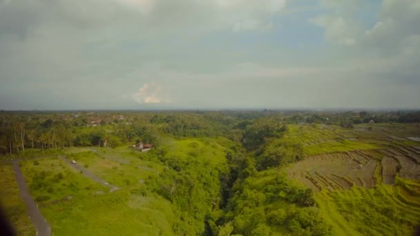 Reisfelder auf der Insel Bali im Indischen Ozean 4 — Stockvideo