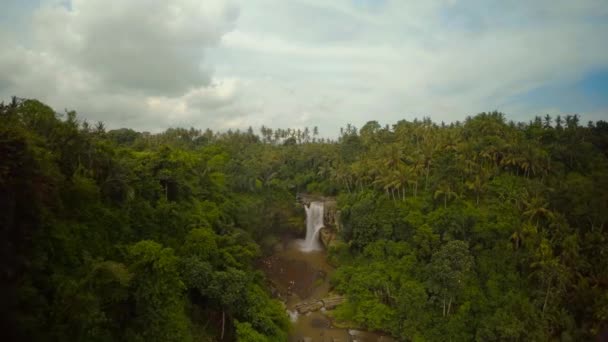 Jungle waterfall on Bali island in Indian Ocean 2 — Stock Video