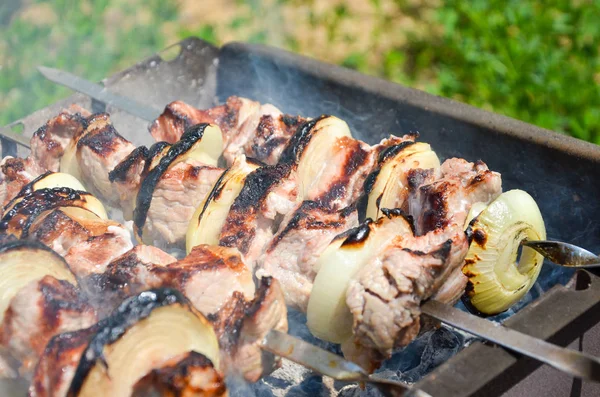 Carne Porco Cebola Churrasco Churrasqueira Cozinhar Para Jantar Família Verão — Fotografia de Stock