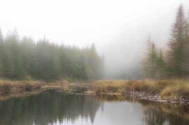 Tayga orman nehri sisli delta