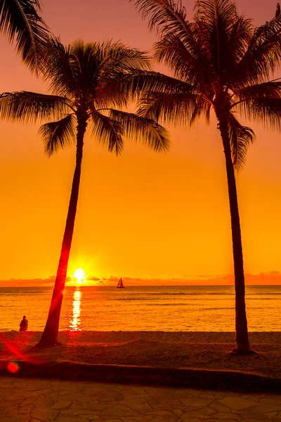 Hawaii 'de palmiye ağaçlarıyla gün batımı. Ufukta bir yelkenli görünüyor.