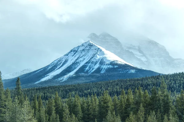 Scenic Landscape Foggy Mountain Range Banff National Park British Columbia Stock Photo