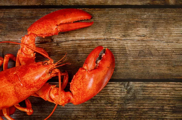 Wooden Background Cooked Red Large Lobster Top View — Stock Photo, Image
