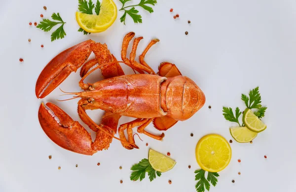 Fresh Cooked Lobster Lemon Parsley Black Pepper White Background Top — Stock Photo, Image