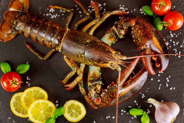 Lobster Fresh Black Board Spices Vegetables Top View — Stock Photo, Image