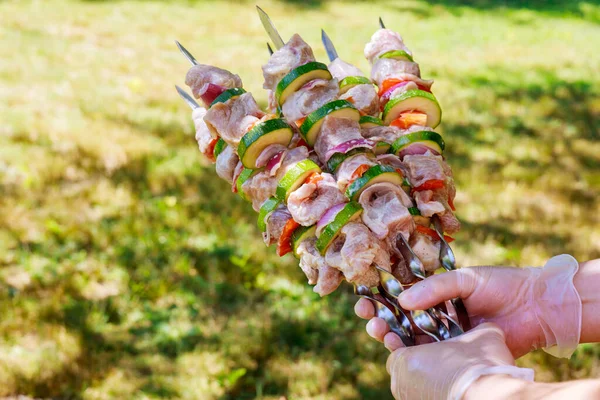 Mãos Estão Segurando Churrasco Feito Carne Porco Legumes Espetos Metal — Fotografia de Stock