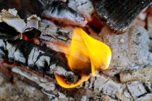 Ceniza Pequeño Fuego Con Leña Quemada Concepto Wildfire —  Fotos de Stock