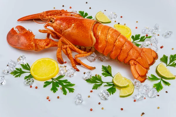 Cooked Lobster White Background Spices Lemon Top View — Stock Photo, Image