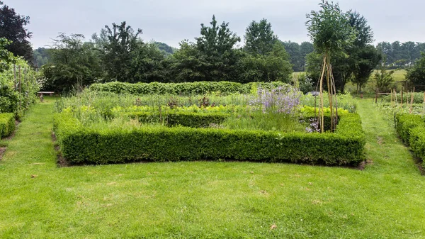Kentsel sebze Bahçe Peyzaj — Stok fotoğraf