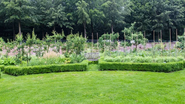 Stedelijke moestuin met bankje — Stockfoto