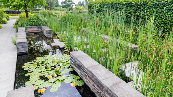 Diseño de jardín con elementos de agua —  Fotos de Stock