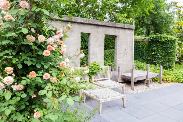 Garden design with concrete wall — Stock Photo, Image