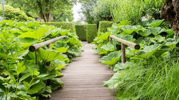 Ponte de jardim de madeira natural — Fotografia de Stock