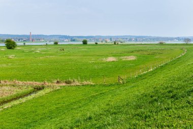 Wageningen yakınındaki Hollanda nehir manzara