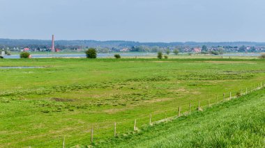 Wageningen yakınındaki Hollanda nehir manzara