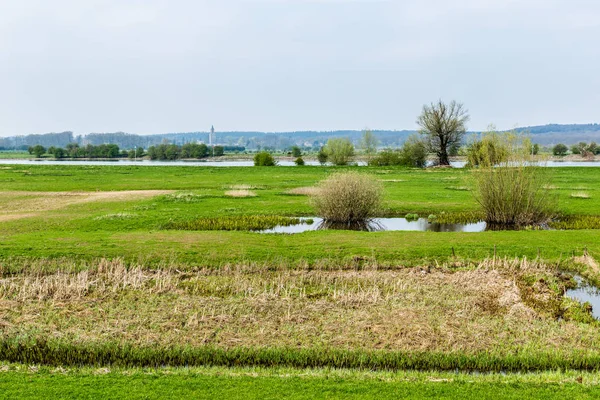 Nederlandse rivierenlandschap in de buurt van Wageningen — Stockfoto