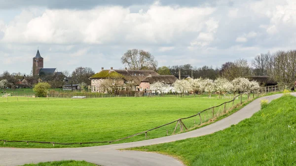 Lezbiyen yakınındaki Lienden, Hollanda