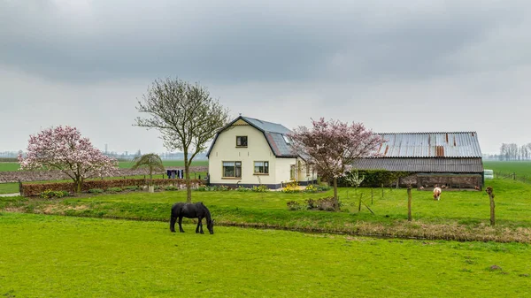 Белый маленький фермерский дом — стоковое фото
