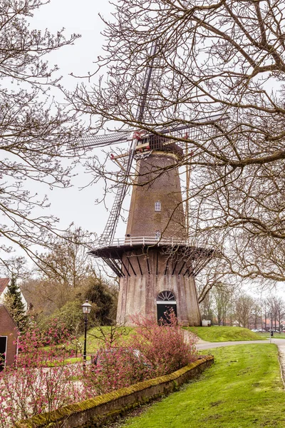 Uitzicht op dorp Buren. Gelderland, Nederland — Stockfoto