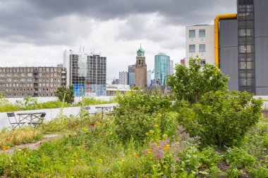 Roofgarden Rotterdam, Hollanda
