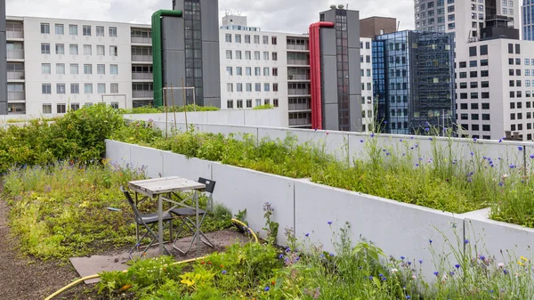 Roofgarden в Роттердаме, Нидерланды — стоковое фото