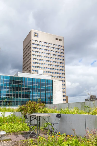 Roofgarden in Rotterdam, Netherlands — Stock Photo, Image