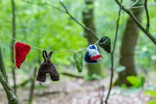 Wassen lijn gnome huis — Stockfoto