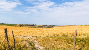 Manzara Hampshire, Engeland