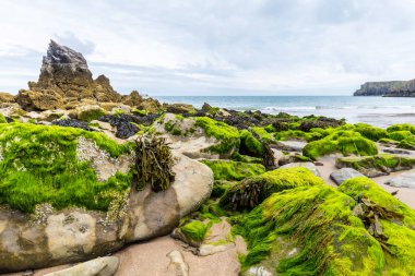 Pembrokeshire kıyı şeridi Wales, İngiltere
