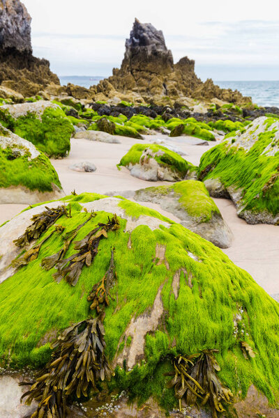 Пембрукширское побережье Уэльса
